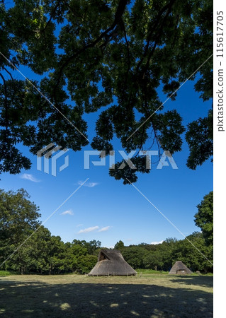 <Chiba Prefecture> Kasori Shell Mound 115617705