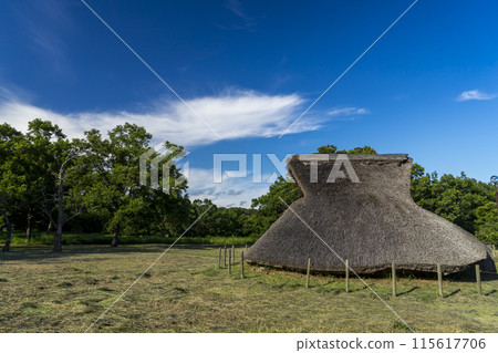<Chiba Prefecture> Kasori Shell Mound <Chiba Prefecture> Kasori Shell Mound 115617706