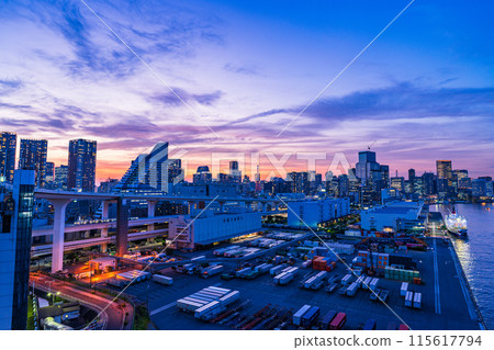 (東京)從彩虹橋北側長廊看芝浦碼頭的夜景 (東京)從彩虹橋北側長廊看芝浦碼頭的夜景 115617794
