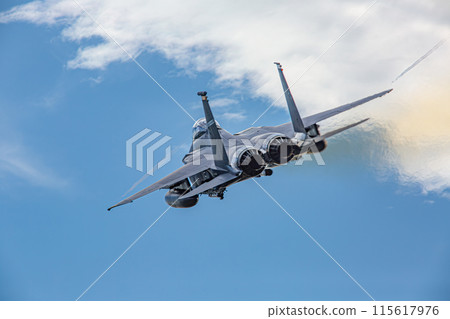 Strike Eagle flying in the blue sky 115617976