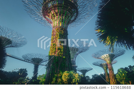 Gardens by the Bay Singapore attractions Botanical Gardens 115618688