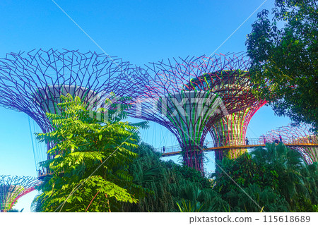 Gardens by the Bay and a beautiful sky 115618689