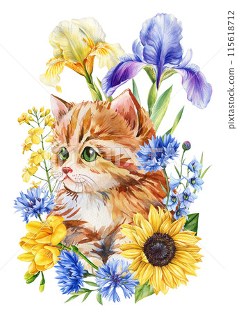Cat Watercolor, cute ginger kitten and flowers. Sunflower, cornflower, iris and Kitty. floral postcard baby animal 115618712