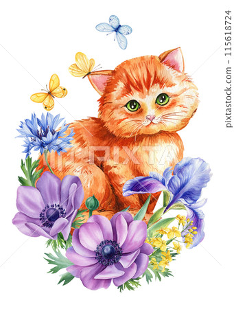 Cat Watercolor, cute ginger kitten and flowers. Anemone, cornflower, iris and butterfly. floral postcard baby animal Cat Watercolor, cute ginger kitten and flowers. Anemone, cornflower, iris and butterfly. floral postcard baby animal 115618724