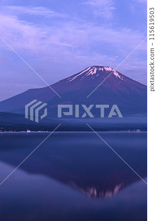 A spectacular view of inverted Mt. Fuji from Lake Yamanaka in early summer 115619503