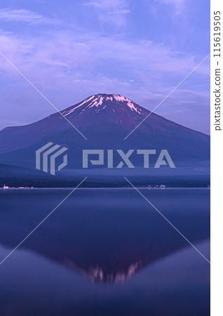 A spectacular view of inverted Mt. Fuji from Lake Yamanaka in early summer 115619505