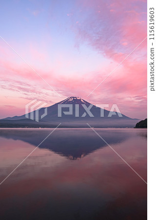 A spectacular view of the sunrise and inverted Mt. Fuji from Lake Yamanaka in early summer 115619603