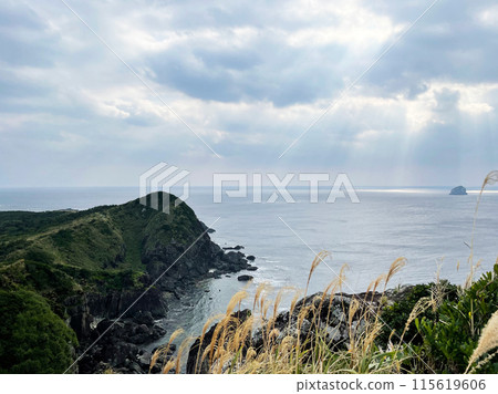 A view of the sea and a green cape with sunlight shining through the clouds 115619606