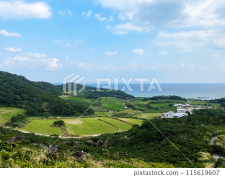 A coastal region with blue skies, blue seas and lush countryside. 115619607