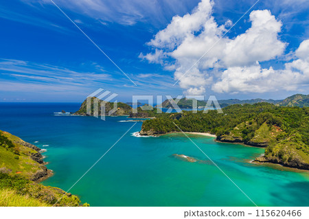 小笠原群島，父島，中山峠觀景台的壯麗景色 115620466