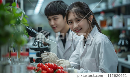 Scientists, colleagues Asian man woman work laboratory under microscopes, study research food 115620651