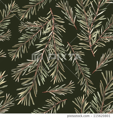Watercolor Christmas tree branches seamless pattern. Pine, fir or spruce evergreen branch with needles Winter forest twig painted illustration for wallpaper, wrapping paper on isolated dark background 115620801