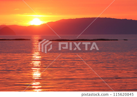 被夕陽染紅的大海 115620845