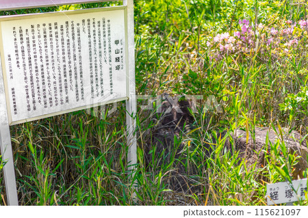 Hiking around Kokufuyama Castle, a place associated with Kanbei Kuroda (Mega, Shikama Ward, Himeji City, Hyogo Prefecture) *Please indicate the location of the photo in the comments section. Hiking around Kokufuyama Castle, a place associated with Kanbei Kuroda (Mega, Shikama Ward, Himeji City, Hyogo Prefecture) *Please indicate the location of the photo in the comments section. 115621097