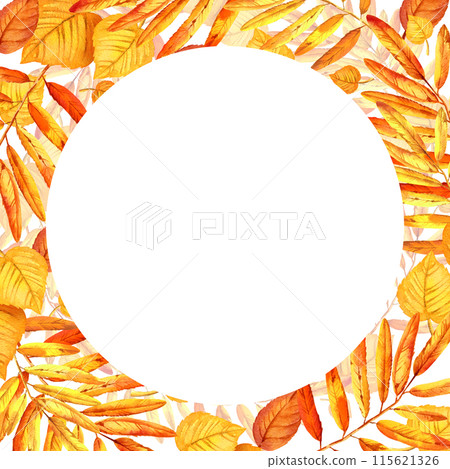 watercolor white frame with autumn leaves, hand drawn illustration of yellow and orange maple leaves, mountain ash leaves, sketch on white background 115621326