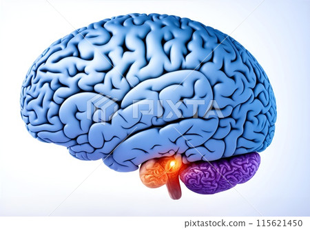 Human brain showing Intelligent thinking processing. Cyber mind concept a neural network of big data and artificial intelligence. AI Generative 115621450