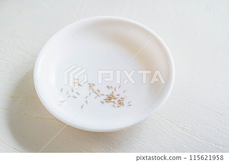 Vegetable seeds Salad 115621958