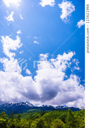 Mt. Norikura on a sunny day during the rainy season 115621966