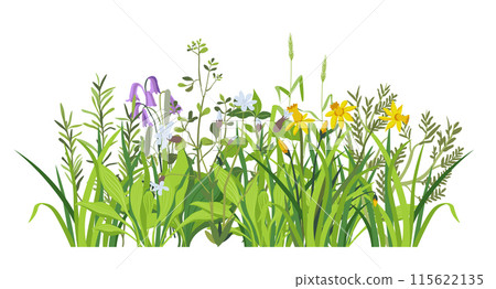 Lush Greenery and Flowers Vector Lush Greenery and Flowers Vector 115622135
