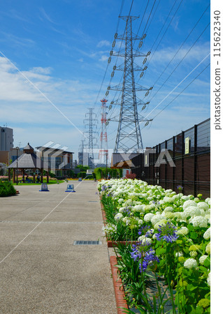 Annabelle and the Blue Sky, Miyamae Park 115622340
