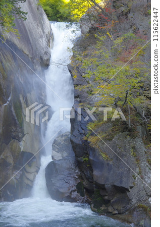 Shinkyosen Gorge, Sengju waterfall in autumn 115622447