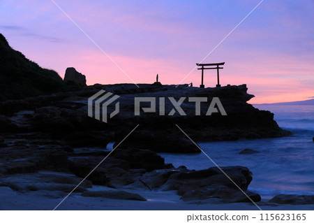 [Shizuoka Prefecture] Shirahama Shrine, Daimyojin Rock's Red Torii Gate at Dawn 115623165