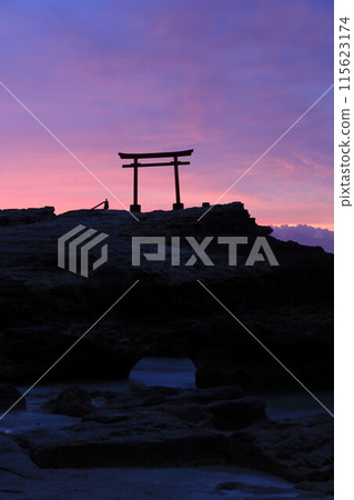 [Shizuoka Prefecture] Shirahama Shrine, Daimyojin Rock's Red Torii Gate at Dawn 115623174