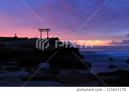 [Shizuoka Prefecture] Shirahama Shrine, Daimyojin Rock's Red Torii Gate at Dawn 115623176