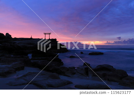 [Shizuoka Prefecture] Shirahama Shrine, Daimyojin Rock's Red Torii Gate at Dawn 115623177