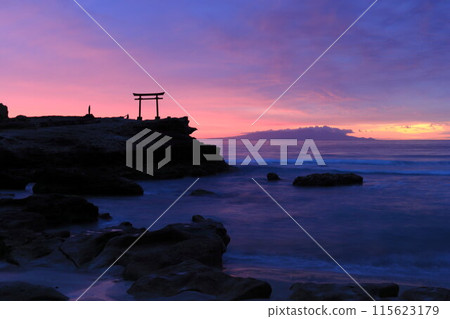 [Shizuoka Prefecture] Shirahama Shrine, Daimyojin Rock's Red Torii Gate at Dawn 115623179
