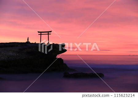 [Shizuoka Prefecture] Shirahama Shrine, Daimyojin Rock's Red Torii Gate at Dawn 115623214
