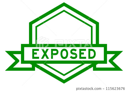 Vintage green color hexagon label banner with word exposed on white background 115623676