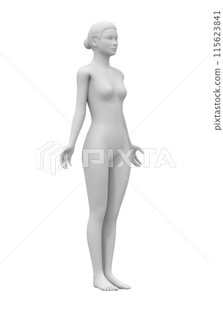 Female body, 3D model, side view 115623841