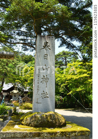 新潟縣上越市的春日山神社供奉著勝利之神 新潟縣上越市的春日山神社供奉著勝利之神 115623885