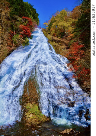 錦州/裕瀧(奧日光/栃木縣日光市) 錦州/裕瀧(奧日光/栃木縣日光市) 115623917