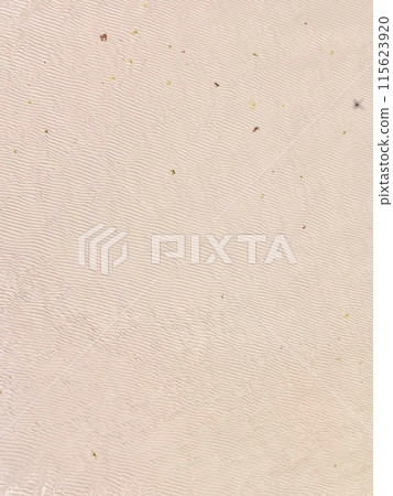 Sandy beach/sand ripples ~ Aerial photography with a drone (Uruma City, Okinawa Prefecture) Sandy beach/sand ripples ~ Aerial photography with a drone (Uruma City, Okinawa Prefecture) 115623920