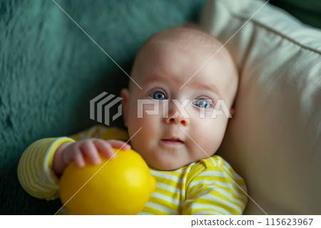 Cute baby with captivating eyes lying down and playing with a bright yellow lemon Cute baby with captivating eyes lying down and playing with a bright yellow lemon 115623967