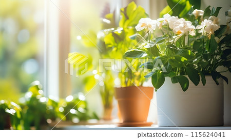 How to Choose the Best Plants for Your Home 115624041