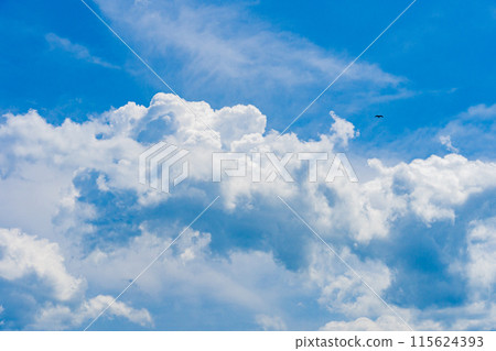 雲圖像 115624393