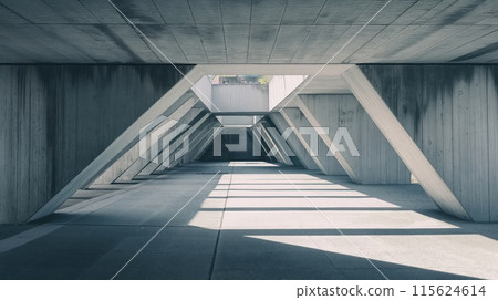 Symmetrical view of a concrete passage with striking light and shadow patterns 115624614