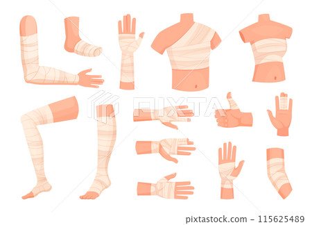 Bandaged body. Medical anatomy pictures of different human body legs and arms exact vector bandage illustration 115625489