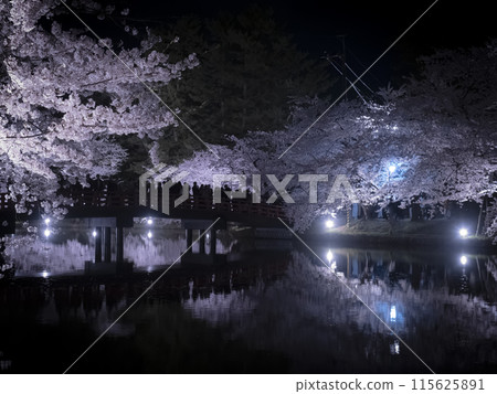 [青森]弘前公園盛開的櫻花 115625891