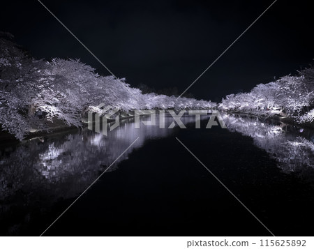 [青森]弘前公園盛開的櫻花 115625892