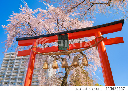 宮城縣仙台市春天岡天滿宮 115626337