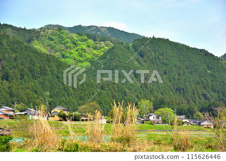 [岐阜縣]新綠季節的中津川市鹿島風景 115626446