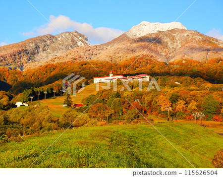 秋葉盛開的新潟縣妙高市的妙高山 秋葉盛開的新潟縣妙高市的妙高山 115626504