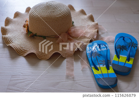Summer image, summer goods, feel the summer 115626879