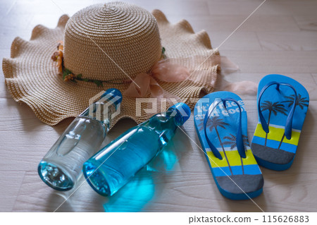 Summer image, summer goods, feel the summer 115626883