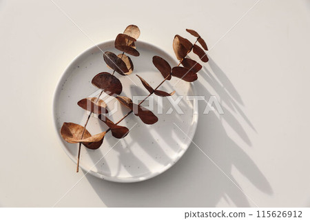 Neutral floral still life. Dry eucalyptus tree branches an white speckled cermaic plate in sunlught. Beige table background, shadows. Natural composition. Flatlay, top view, no people. Neutral floral still life. Dry eucalyptus tree branches an white speckled cermaic plate in sunlught. Beige table background, shadows. Natural composition. Flatlay, top view, no people. 115626912