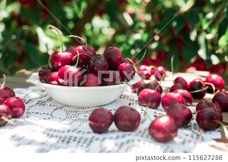 Still life with cherries in a white bowl on the table Still life with cherries in a white bowl on the table 115627286